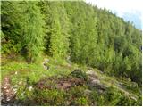 Pod Debelo glavo - Planina Poljana